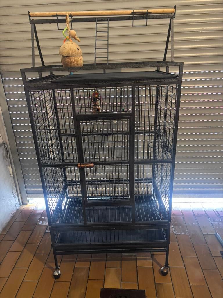 Cage perroquet, Enlèvement, Comme neuf