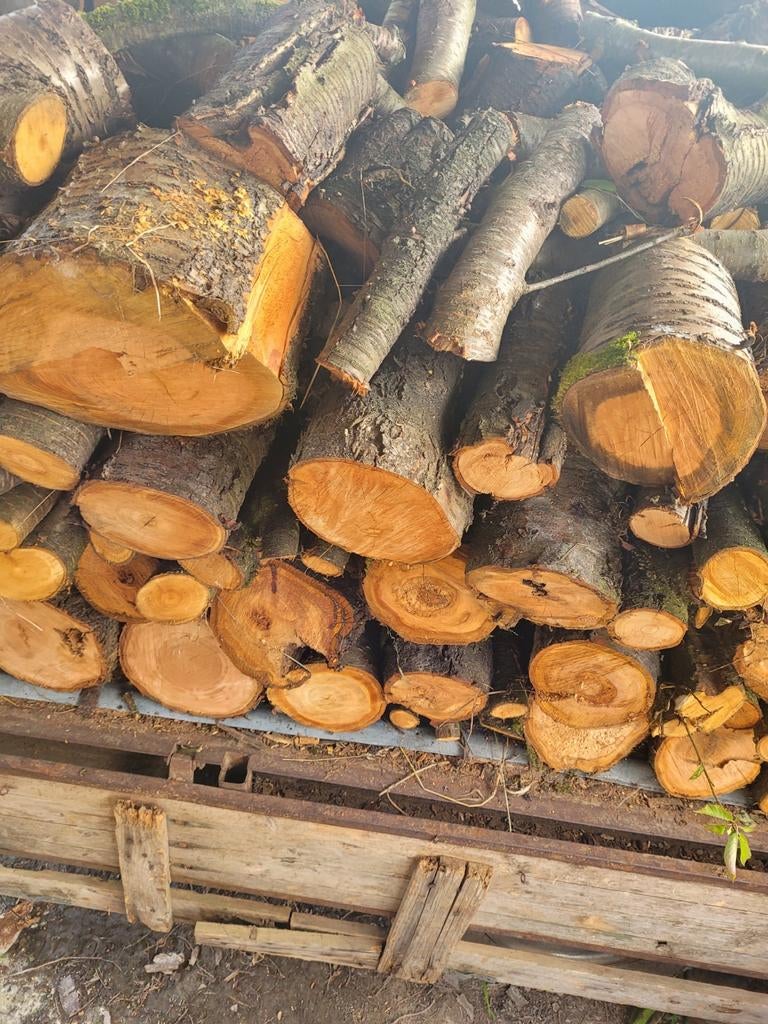 Brandhout van krieken bomen, Enlèvement