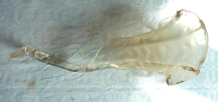 globe tulipe en verre pour lustre, Maison & Meubles, Lampes | Lustres, Utilisé, Verre, Enlèvement ou Envoi