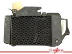 RADIATEUR EAU Honda XL 650 V Transalp (XL650V RD10 RD11), Motos, Utilisé