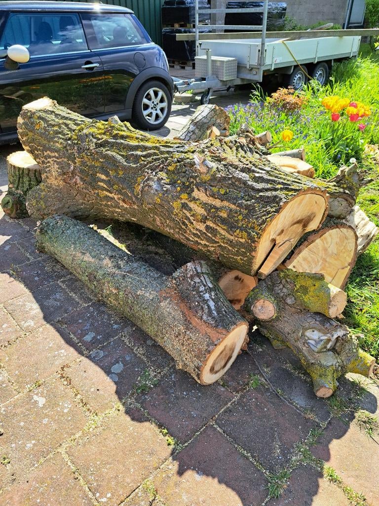 Kachel hout, Ophalen