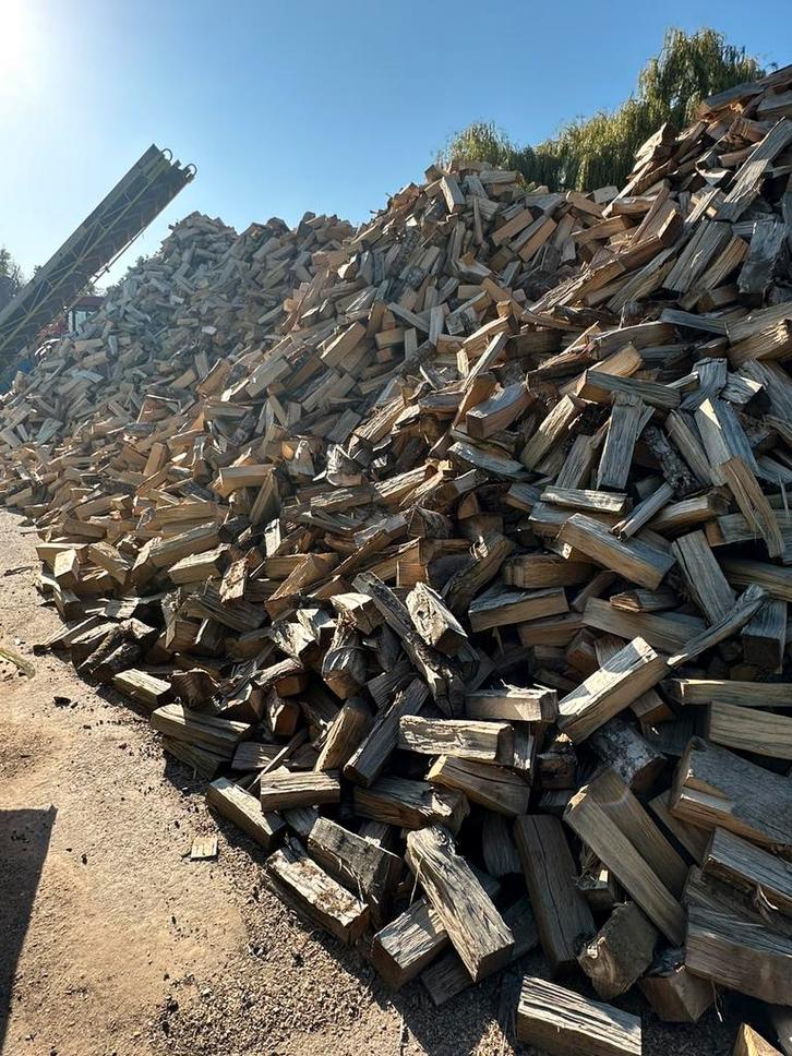 Brandhout, Tuin en Terras, Brandhout, Blokken, Beukenhout, Ophalen