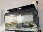 Aquarium met alle toebehoren, Dieren en Toebehoren, Ophalen, Zo goed als nieuw
