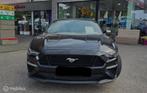 Ford Mustang Coupe | 2018 | Route 66 Auctions, Auto's, Ford, Gebruikt, Zwart, Bedrijf, Handgeschakeld