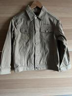 VESTE TINTIN NEUVE 12 ans, Enlèvement ou Envoi, Neuf