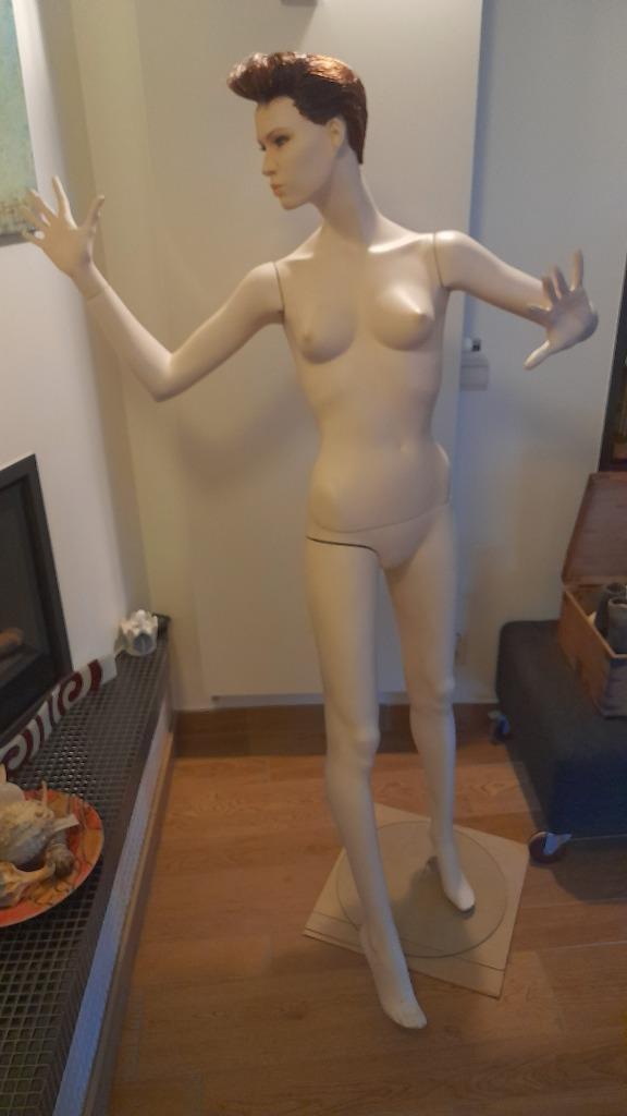 etalagepop vrouwelijk complete figuur, Hobby en Vrije tijd, Naaien en Fournituren, Gebruikt, Overige typen, Ophalen