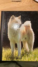 Mon compagnon le chien. Volume 1, Ophalen of Verzenden, Zo goed als nieuw, Honden