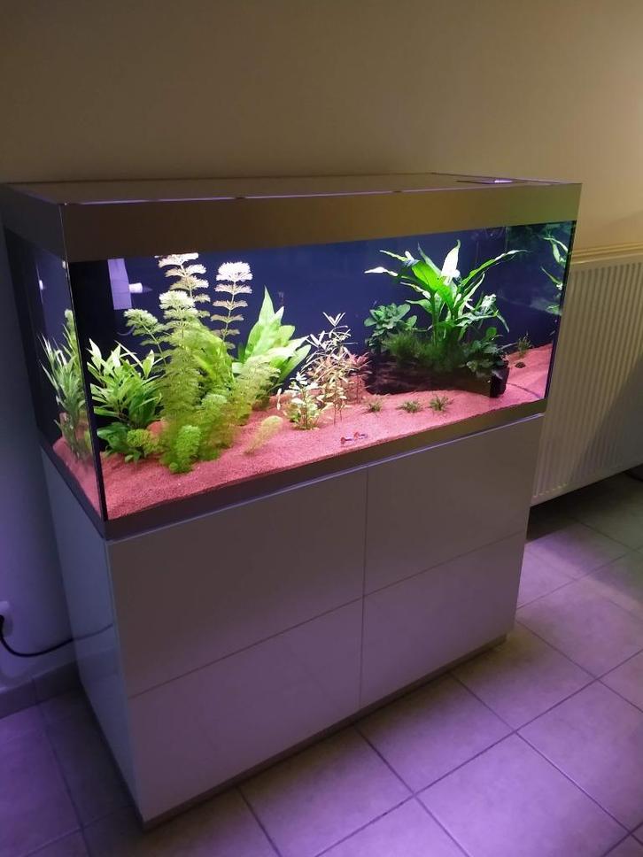 Aquarium 300L + kast: 115 x 50 x 132cm + filter en RGB licht, Dieren en Toebehoren, Vissen | Aquaria en Toebehoren, Gebruikt, Leeg aquarium