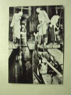 51078 - LIEGE - MUSEE DE LA VIE WALLONNE, Enlèvement ou Envoi