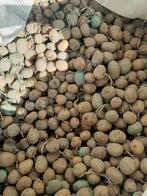 Sinora pootgoed planters 28/35, Zakelijke goederen, Ophalen