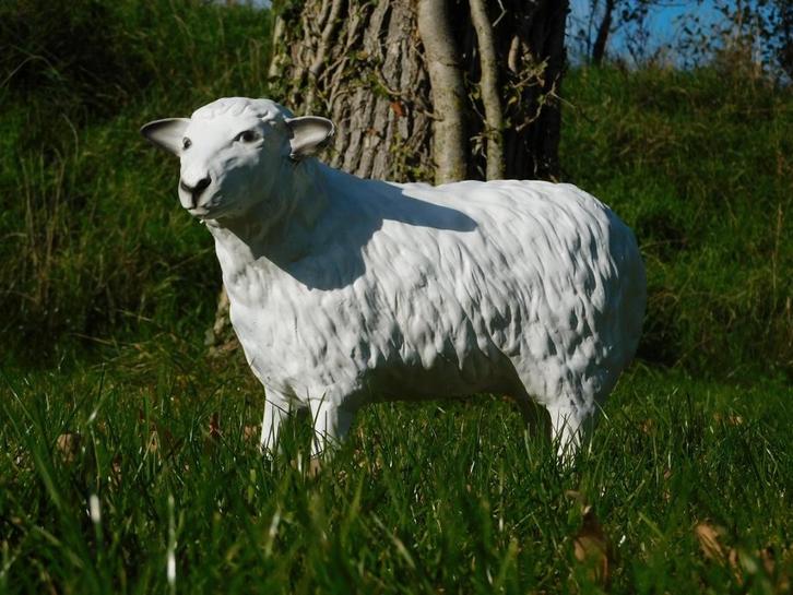 Beeld Schaap - 45 cm - Polystone, Verzamelen, Beelden en Beeldjes, Ophalen of Verzenden
