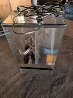 Terrarium, Animaux & Accessoires, Enlèvement