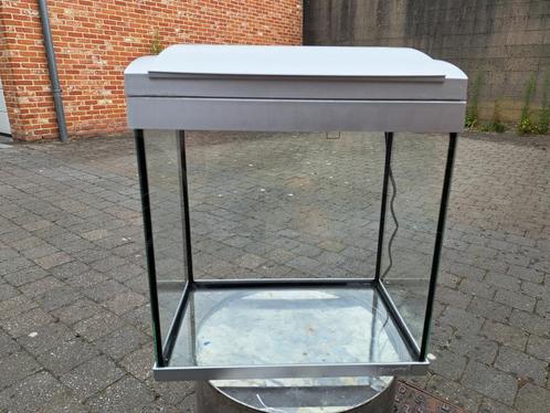 Leeg aquarium SuperFishgrijs. Zie ook mijn andere zoekertjes, Dieren en Toebehoren, Vissen | Aquaria en Toebehoren, Gebruikt, Leeg aquarium