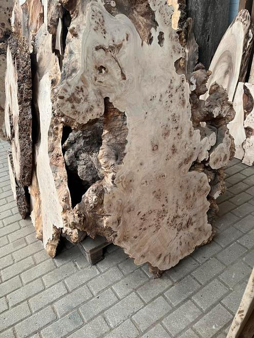 Black notelaar olijf wortel eik olm taxus kastanje esdoorn, Huis en Inrichting, Woonaccessoires | Wandplanken en Boekenplanken