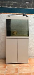 Aquarium met kleine witte kast, Dieren en Toebehoren, Ophalen, Gebruikt, Gevuld zoetwateraquarium