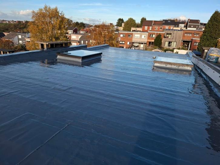 Reparation des toits, Bricolage & Construction, Tuiles & Revêtements de toit, Envoi