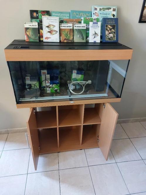 Aquarium, Dieren en Toebehoren, Vissen | Aquaria en Toebehoren, Gebruikt, Leeg aquarium, Ophalen
