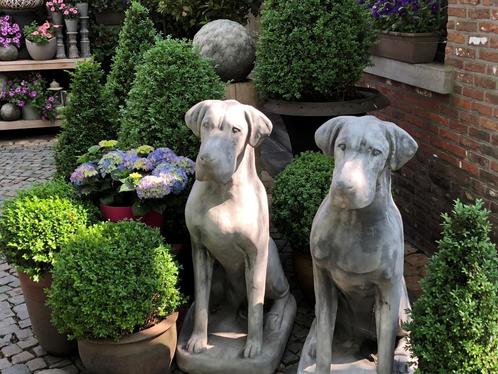 Tuinbeeld Deense Dog (2 stuks), Tuin en Terras, Tuinbeelden, Gebruikt, Dierenbeeld, Beton, Ophalen