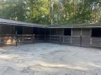 Volledige privéstalling te huur in Schilde Antwerpen, Dieren en Toebehoren, Weidegang, 4 paarden of pony's of meer