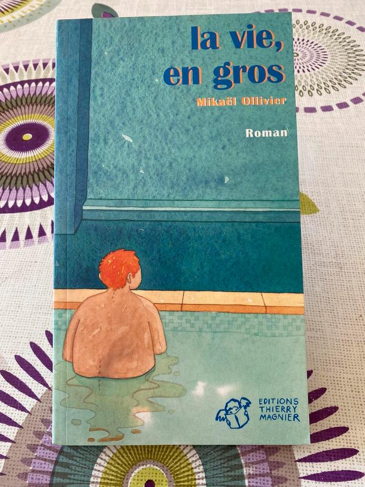 La vie en gros livre   De Mikaël Ollivier, Boeken, Romans, Ophalen of Verzenden