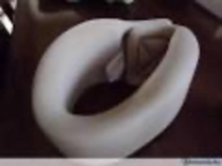 Orthèse de nuque et protège-nuque Tricodur, Divers, Orthèses, Enlèvement ou Envoi