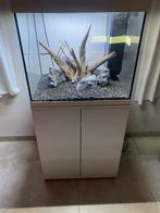Hout voor aquarium, Ophalen