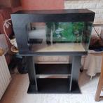 aquarium a poissons avec meuble, Animaux & Accessoires, Poissons | Aquariums & Accessoires, Enlèvement, Utilisé, Aquarium vide