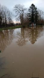 Vijver met blokhut en vis, Immo, Terrains & Terrains à bâtir