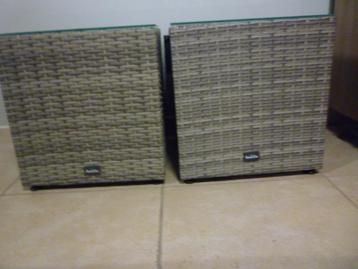 NIEUW !!!  2 Wicker bijzettafeltjes van Bois le Duc beschikbaar voor biedingen