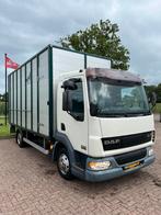 Degelijke DAF paardencamion uit 2006, 66.000KM!, Bedrijf, Diesel, DAF, Te koop