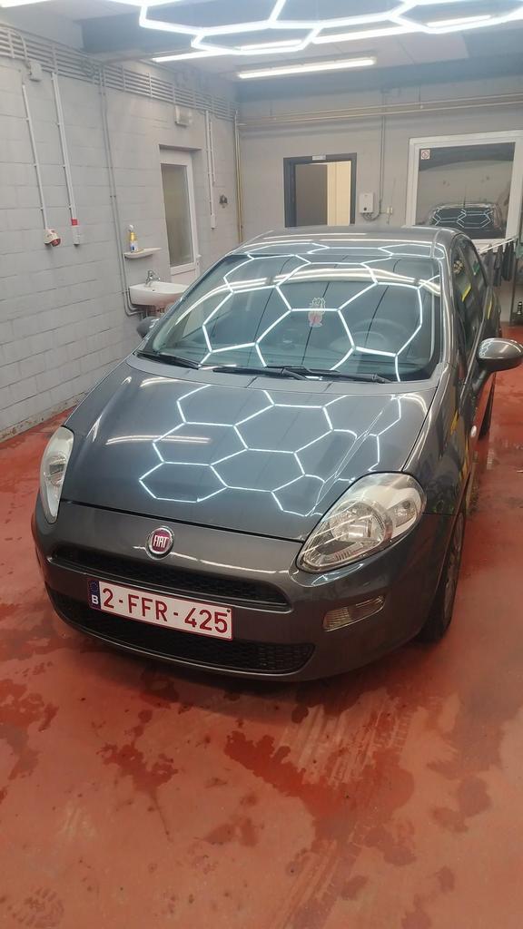 Fiat Punto auto, Auto's, Fiat, Bedrijf, Punto, Benzine, Ophalen