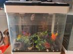 Aquarium panorama 50liter, Dieren en Toebehoren, Ophalen, Gebruikt, Leeg aquarium