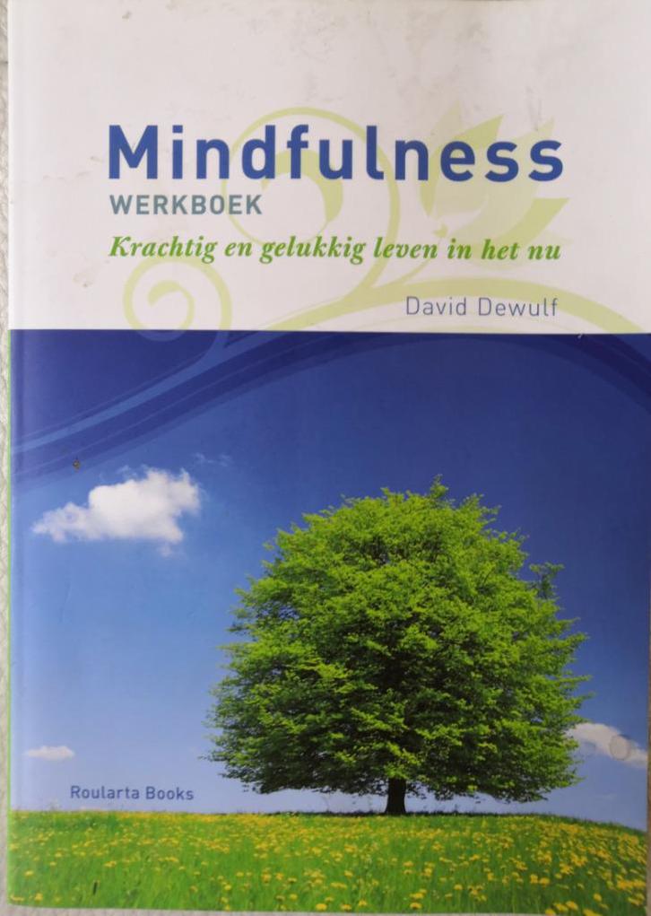 Mindfulness Werkboek DR.David Dewulf - Boek is nieuw, Boeken, Advies, Hulp en Training, Nieuw, Ophalen of Verzenden