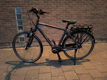 Elektrische fiets Pegasus - Bosch Active - 500Wh. beschikbaar voor biedingen