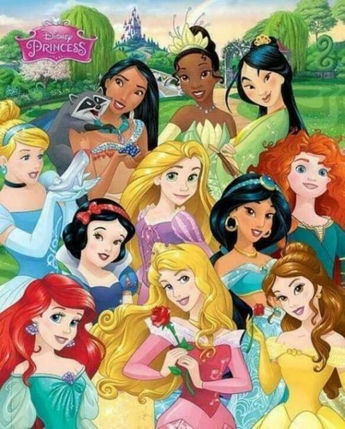 Disney Princess Mini Poster, Enfants & Bébés, Chambre d'enfant | Aménagement & Décoration, Neuf, Enlèvement ou Envoi