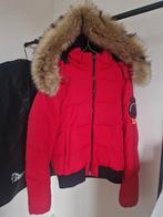 Winterjas, Superdry, Zo goed als nieuw, Rood, Ophalen