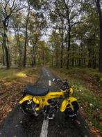 Dax 50cc b klasse, Fietsen en Brommers, Ophalen, 50 cc, Klasse B (45 km/u), Zo goed als nieuw