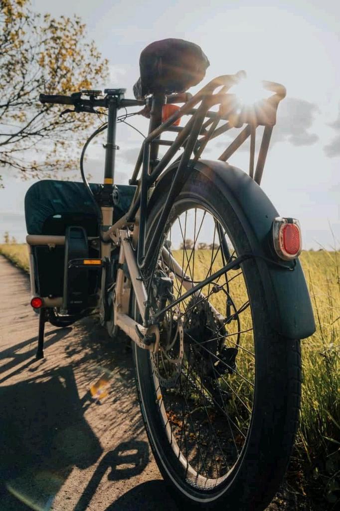 Riese & Müller Muller Load 60 1000wh Elektrische Bakfiets, Fietsen en Brommers, Fietsen | Bakfietsen, Zo goed als nieuw, Ophalen