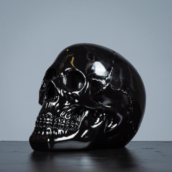 beelden van schedels, Antiek en Kunst, Kunst | Designobjecten, Ophalen of Verzenden