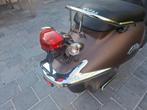 Trottinette Sym Allo 8148 km, Enlèvement ou Envoi, Comme neuf, Allo