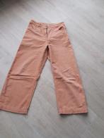 Fish & Chips oud roze fluwelen broek maat 170, Kinderen en Baby's, Kinderkleding | Maat 170, Broek, Fish & Chips, Gebruikt, Meisje