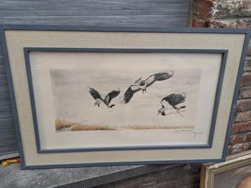 Gravure signe leon danchin  beschikbaar voor biedingen