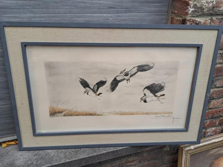 Gravure signe leon danchin, Antiek en Kunst, Kunst | Etsen en Gravures, Ophalen of Verzenden