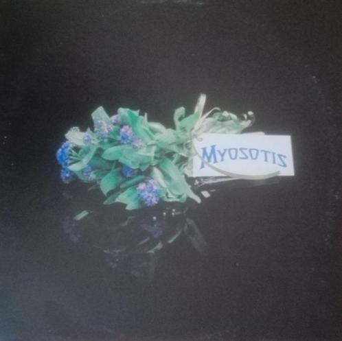 Myosotis  – Untitled Myosotis, CD & DVD, Vinyles | Musique du monde, Utilisé, Européenne, 12 pouces, Enlèvement ou Envoi