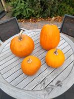 4 pompoenen om soep te maken, Diversen, Ophalen