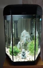Aquarelaquarium van 60 liter, Dieren en Toebehoren, Ophalen