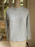 Truitje Daphnea Paris, maat S, Kleding | Dames, Ophalen of Verzenden, Maat 36 (S), Blauw