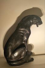 Zwarte panter 50 cm, Ophalen