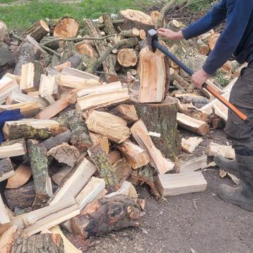 Brand hout te koop, Tuin en Terras, Brandhout, Ophalen