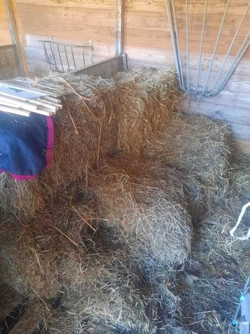 Hooi en stro, Dieren en Toebehoren, Ophalen, Vee